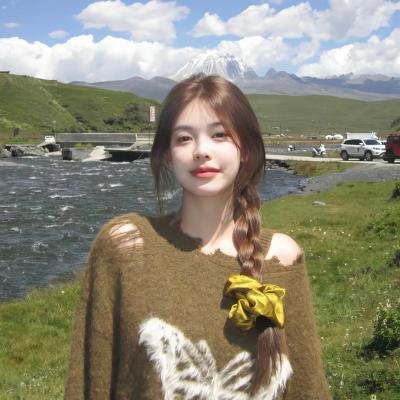 麒麟之翼